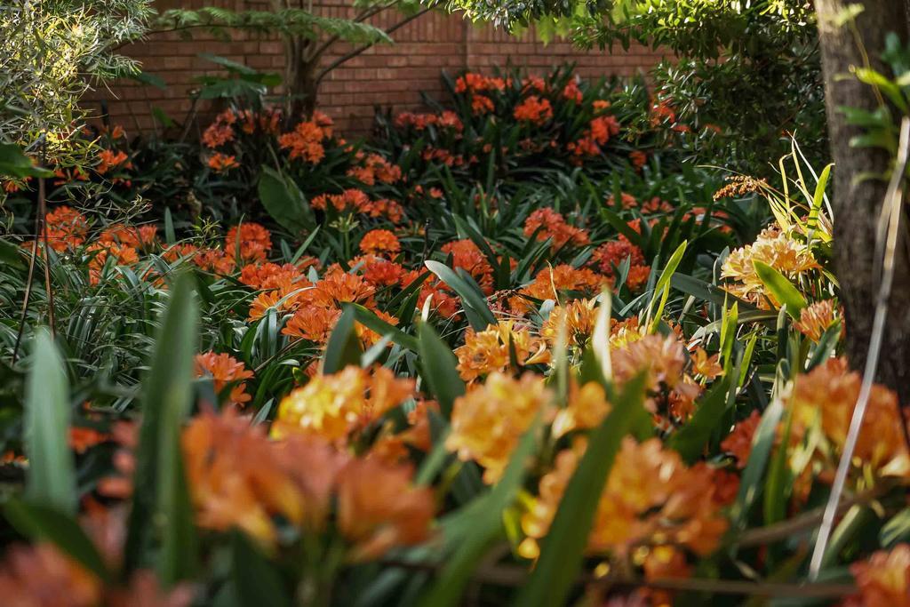 Hudson House Hotell Pretoria-Noord Exteriör bild